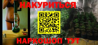 крисы Кунгур