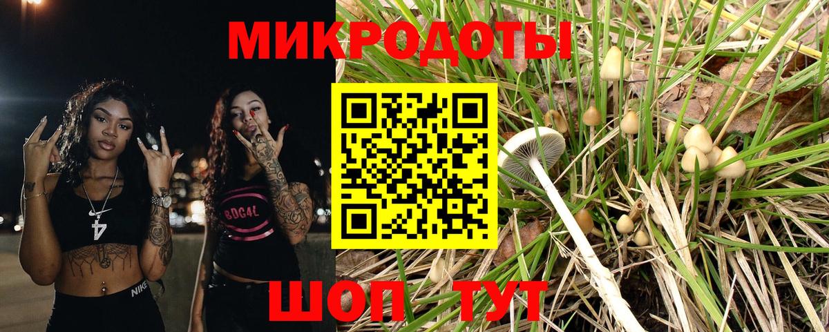 Избербаш  Псилоцибиновые грибы мицелий  Вход с VPN  Псилоцибиновые грибы мицелий 